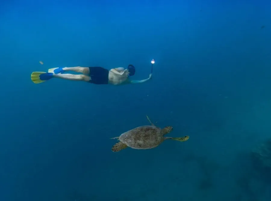 10 Adults-Only Activities on Rarotonga