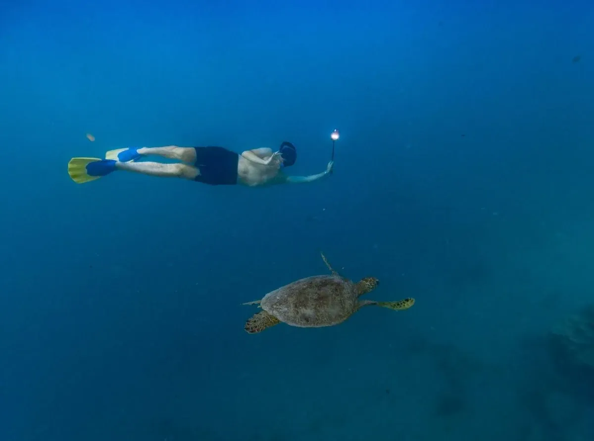 10 Adults-Only Activities on Rarotonga