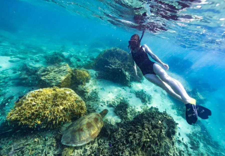 Rarotonga & Cook Islands Luxury Itinerary: 7 Days / 1 Week 🍾