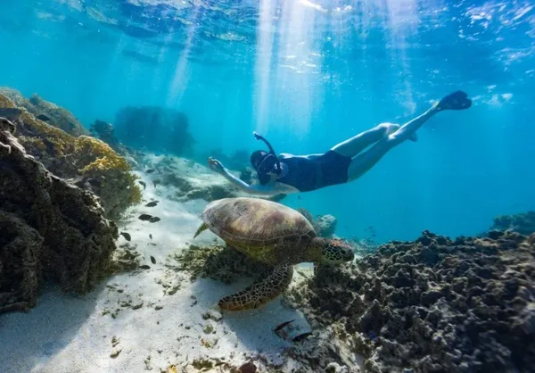 50 Best Things to Do on Rarotonga 🐋 [2025]