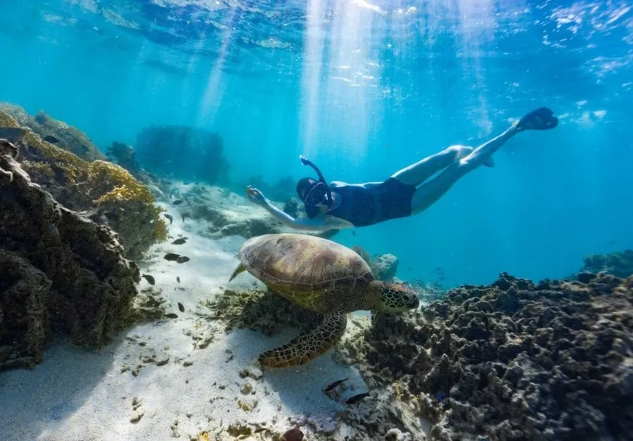 50 Best Things to Do on Rarotonga 🐋 [2025]