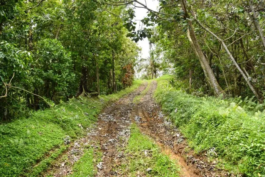5 Best Off-Road Tours in Rarotonga & the Cook Islands