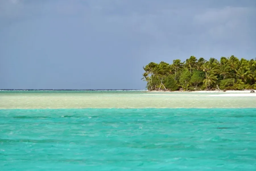 12 Best Nature & Wildlife Tours in Rarotonga & the Cook Islands [2025]