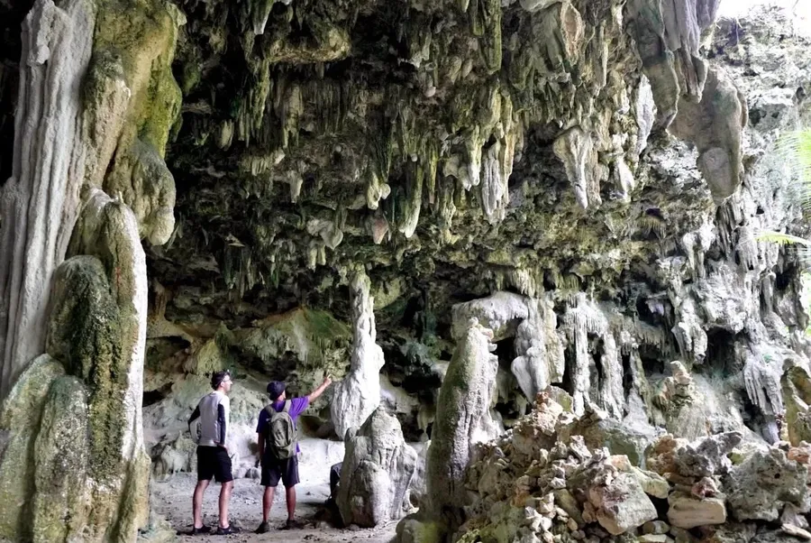 6 Best Tours on Atiu