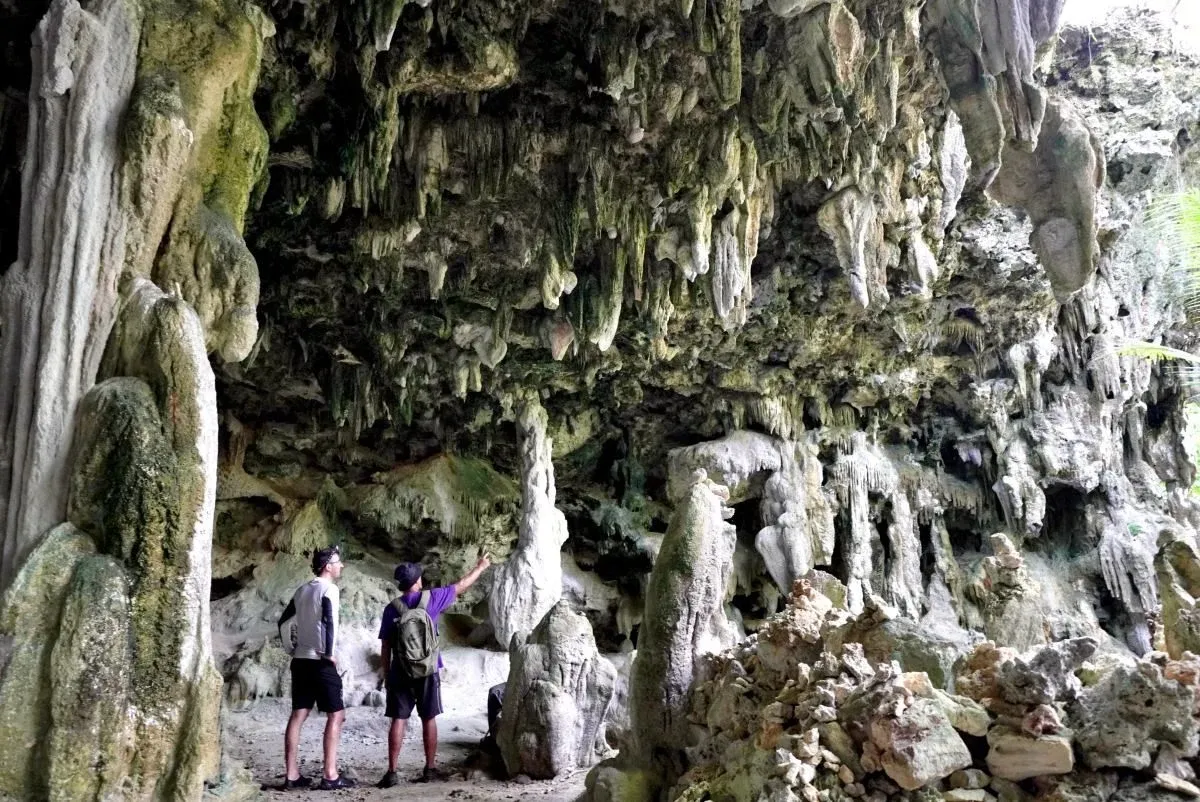 6 Best Tours on Atiu