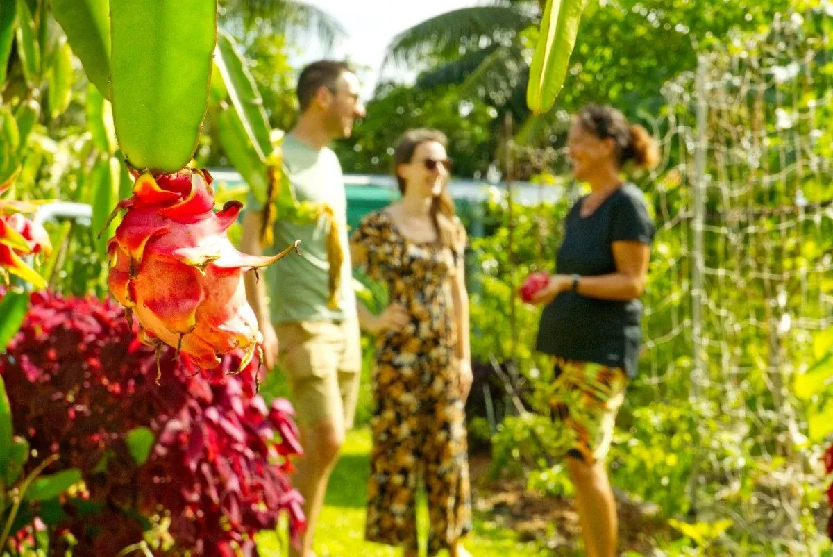 The Food Guide to Rarotonga: Places to Eat & Food Tours 🥥 [2025]