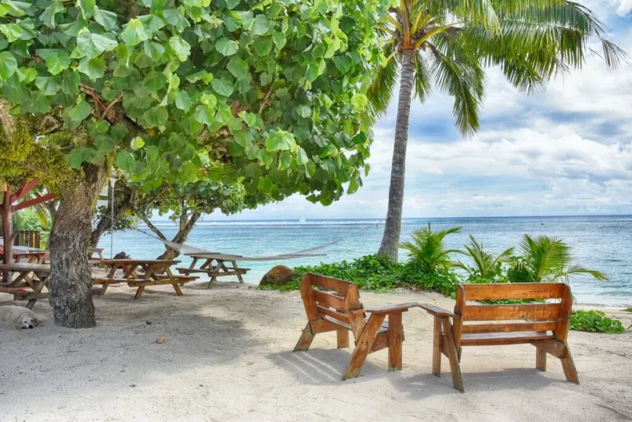 10 Best Places for Whale Watching in Rarotonga & the Cook Islands