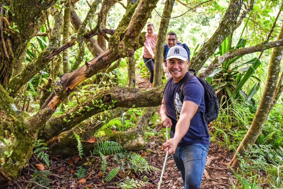10 Best Walks on Rarotonga [2025]