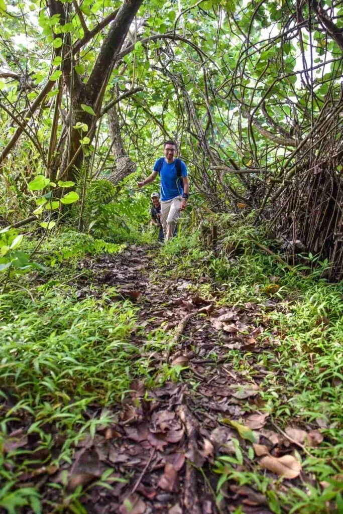 10 Best Walks on Rarotonga [2023]