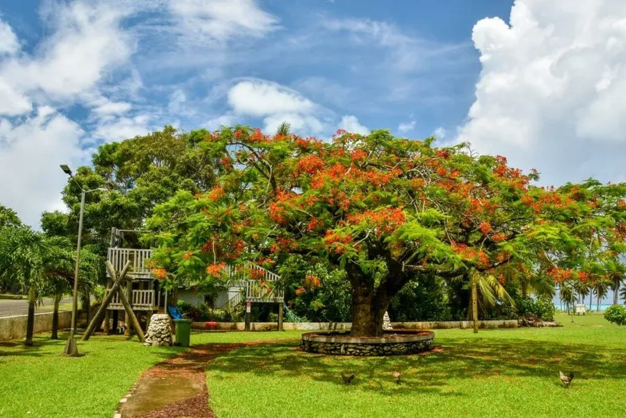10 Things to Do on Aitutaki with Kids