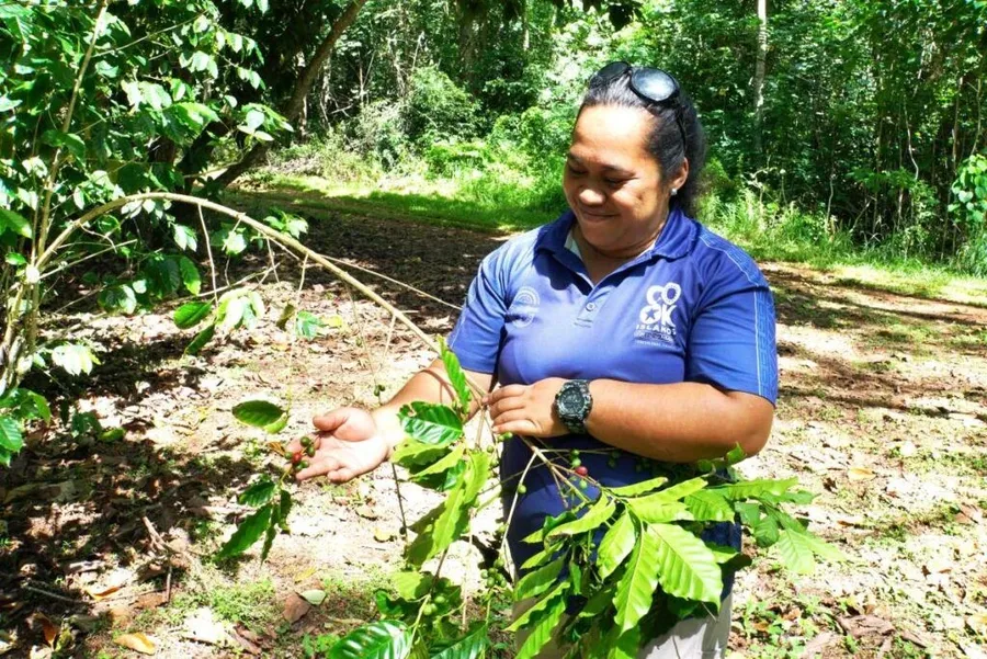 10 Drinks in Rarotonga & the Cook Islands You HAVE to Try!