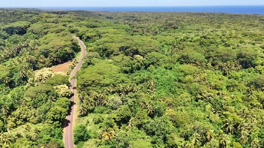 10 Best Car Rentals in the Cook Islands: The Top Cook Islands Car Hires