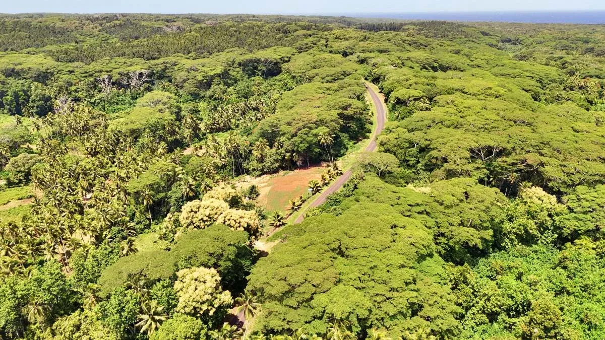 A Self-Guided Day Trip Around Atiu: One Day Itinerary