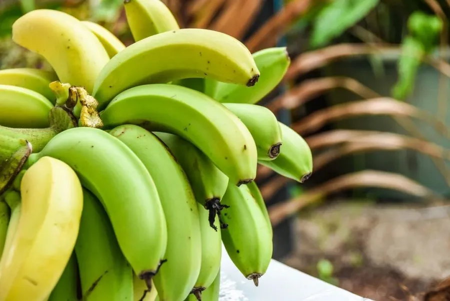 15 Exotic Fruits in Rarotonga & the Cook Islands You HAVE to Try!