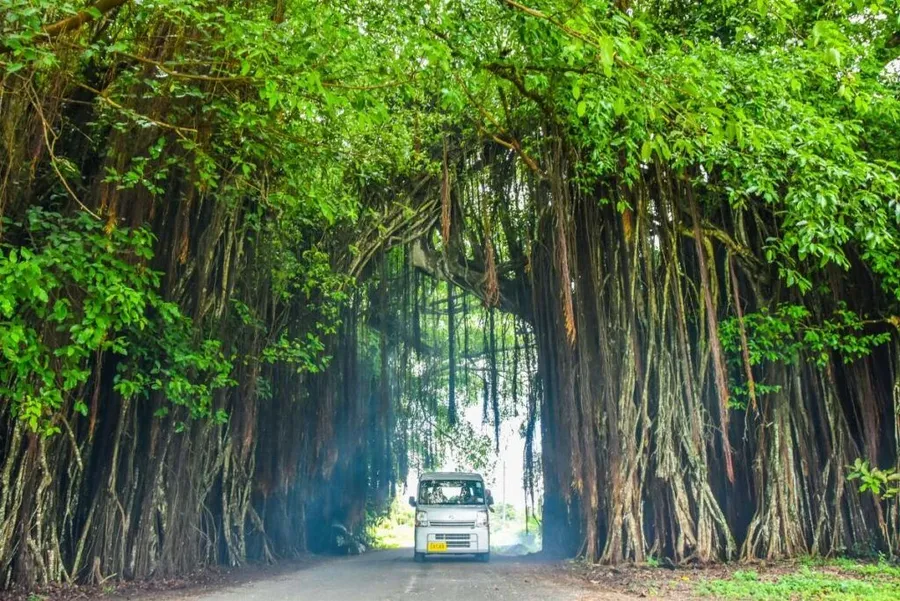 Rarotonga & Cook Islands Family Itinerary: 14 Days / 2 Weeks ????