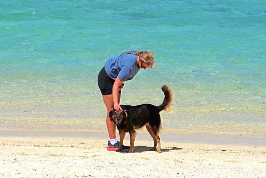 20 Free & Cheap Things to Do on Rarotonga 🤿 [2025]