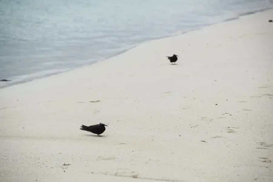What are the 15 Islands in the Cook Islands?
