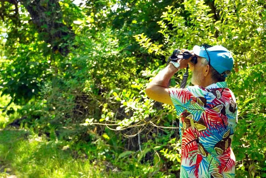 The Guide to Ecotourism in Rarotonga & the Cook Islands