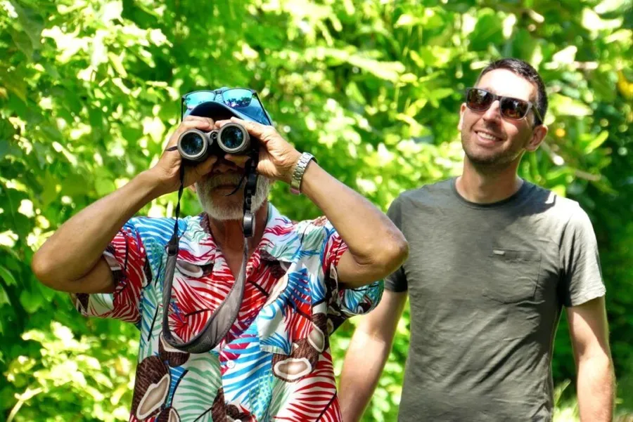 7 Best Places for Bird Watching in Rarotonga & the Cook Islands 🦜