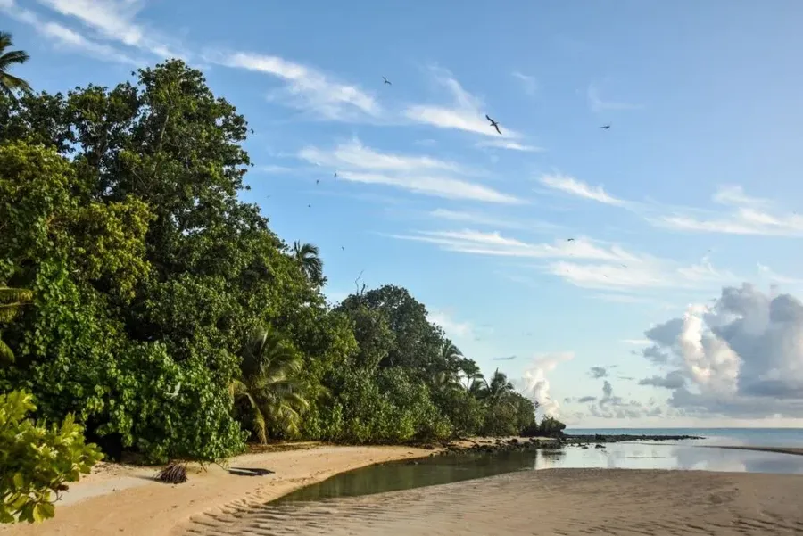 7 Best Places for Bird Watching in Rarotonga & the Cook Islands 🦜