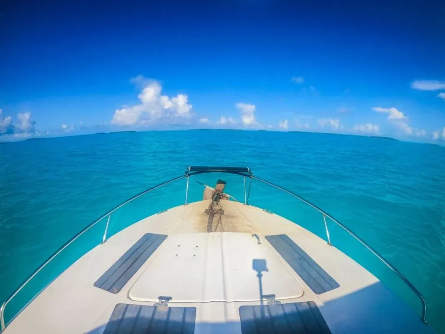 The Complete Guide to Spearfishing in Rarotonga & the Cook Islands