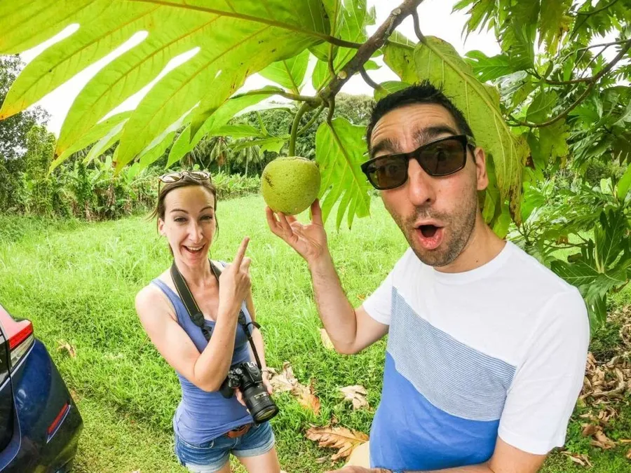 15 Exotic Fruits in Rarotonga & the Cook Islands You HAVE to Try ...
