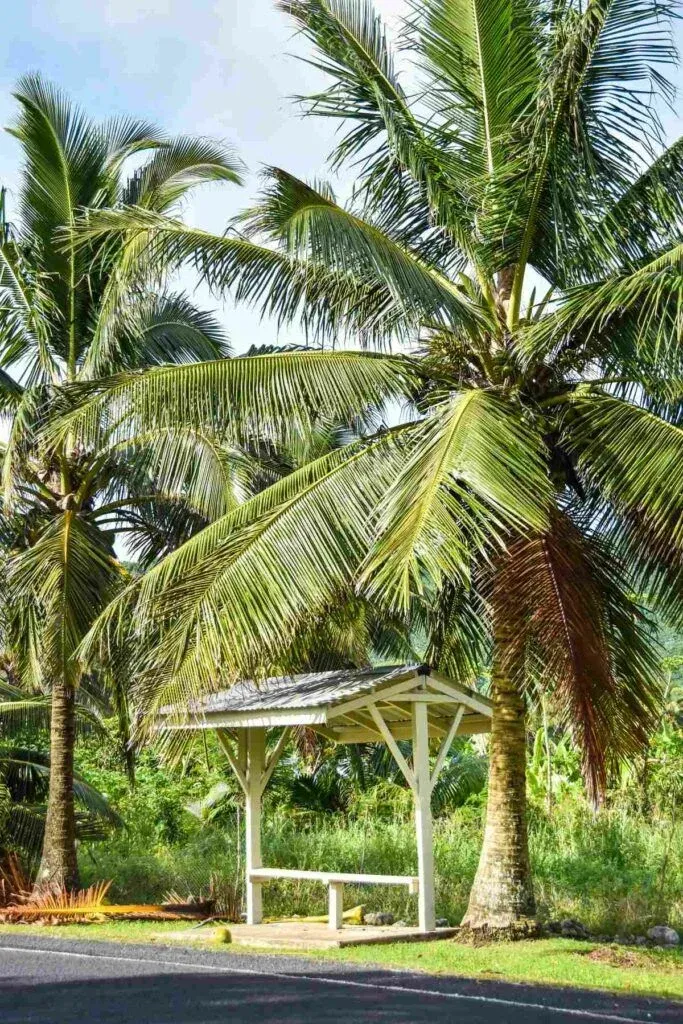 Cook Islands Travel Tips: 30 Tips for Travelling in Rarotonga & the Cook Islands