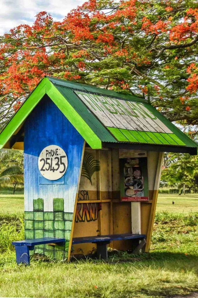 The Bus in Rarotonga & the Cook Islands: Bus Fares, Timetable & More