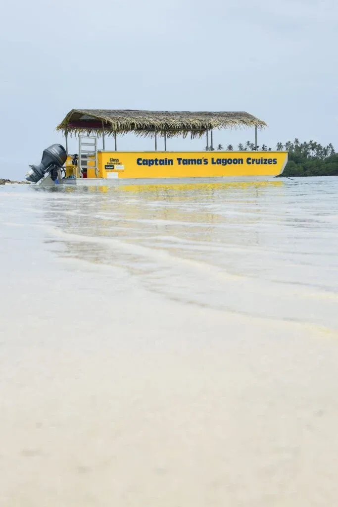 5 Best Paddleboard Tours & Hires in Rarotonga & the Cook Islands