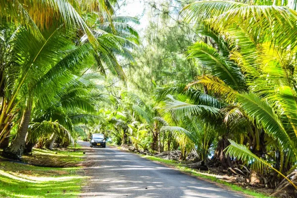 How to Drive in Rarotonga & the Cook Islands + 10 Road Rules ⛔