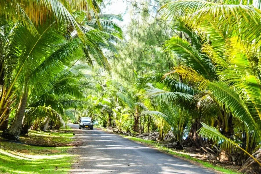 The Cost of Renting a Car in Rarotonga & the Cook Islands ???? [2023]