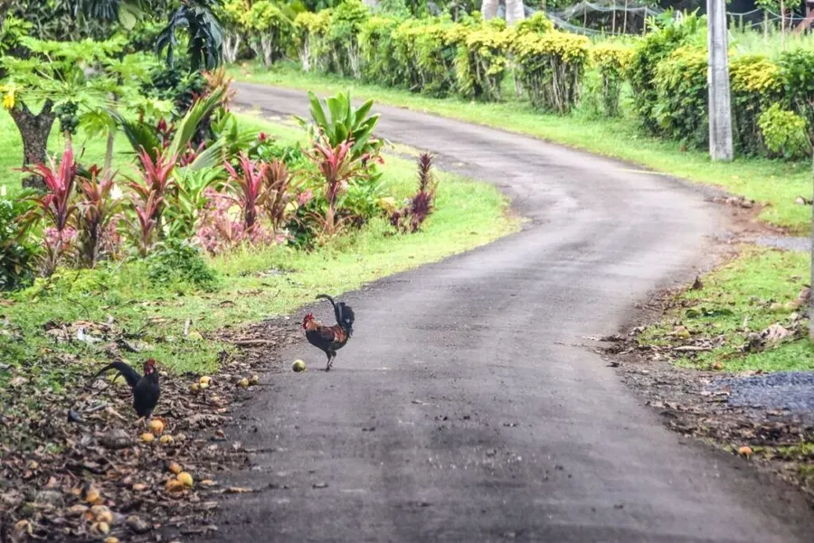Rarotonga Travel Times & Distances: How Long to Travel Rarotonga?