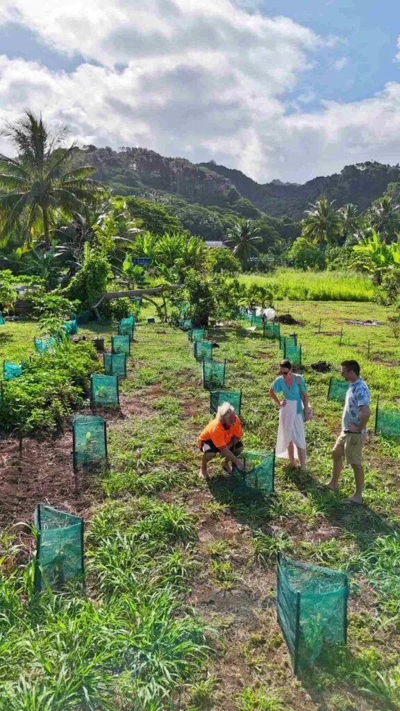 12 Best Foodie Experiences on Rarotonga