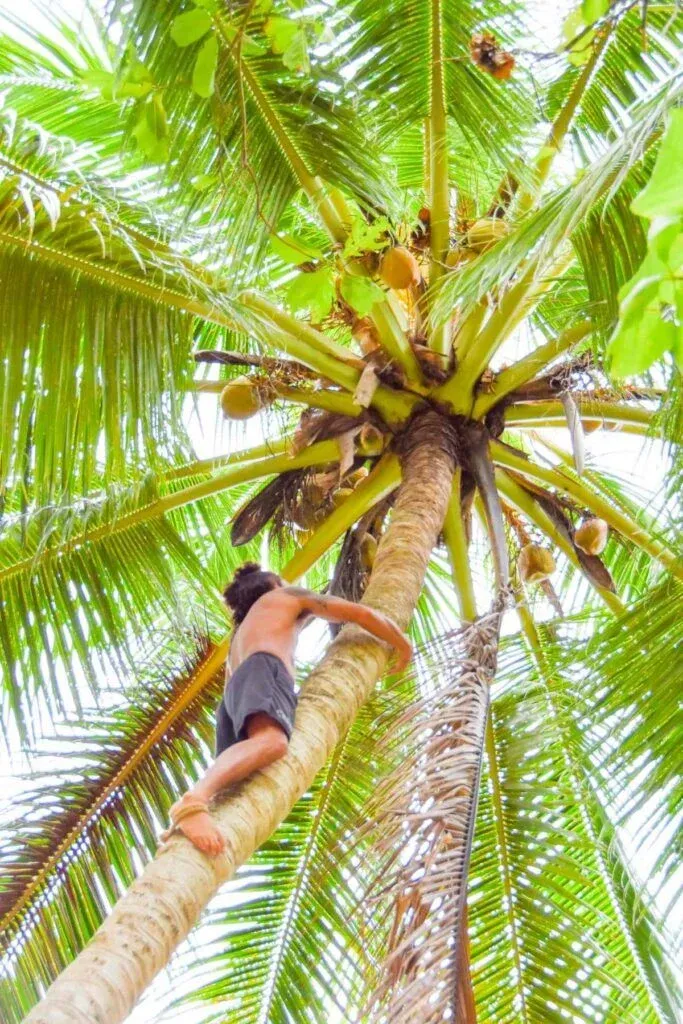 The 13 Less-Travelled Islands of the Cook Islands