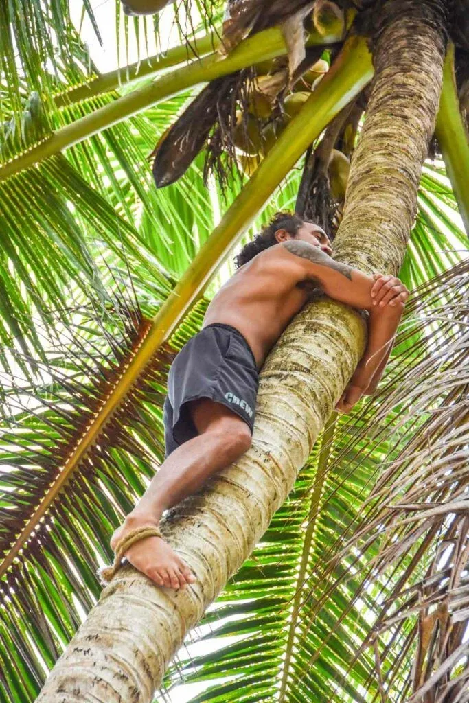 21 Fun Facts About Rarotonga & the Cook Islands ????
