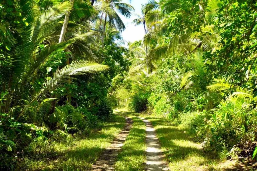 The Cycling Times & Distances in Rarotonga & the Cook Islands
