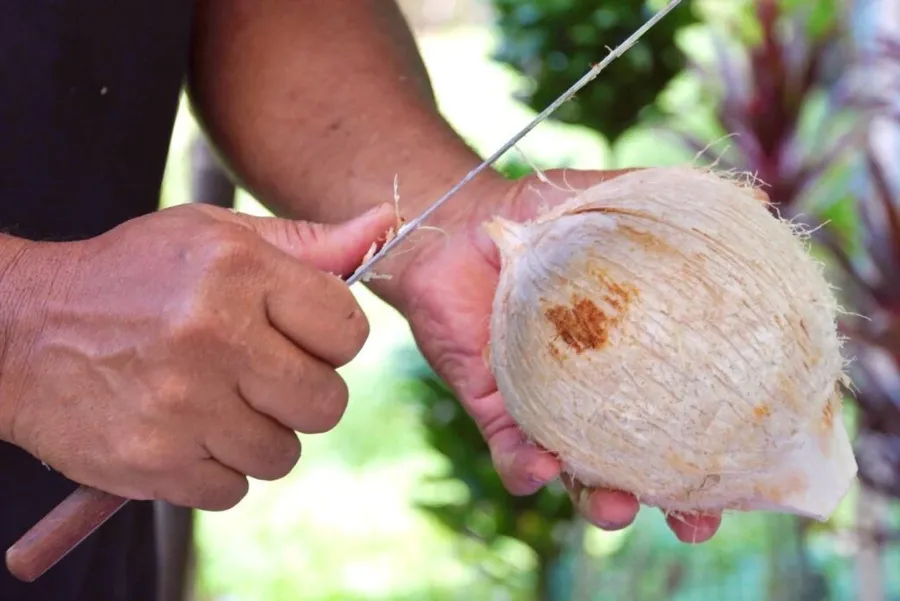 35 Things to Do on Rarotonga with Kids 👪 [2025]
