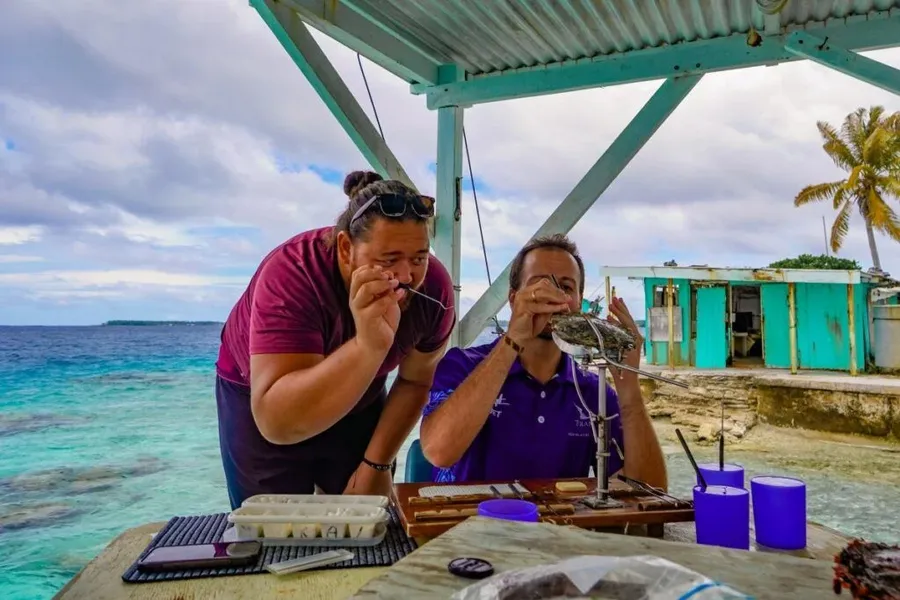 101 Best Things to Do in the Cook Islands: The Ultimate List [2023]