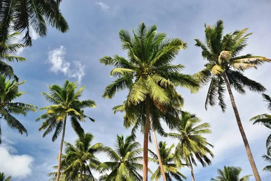 What are the 15 Islands in the Cook Islands?