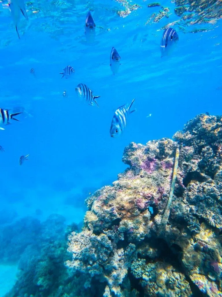 Rarotonga & Cook Islands Family Itinerary: 10 Days ????????????????