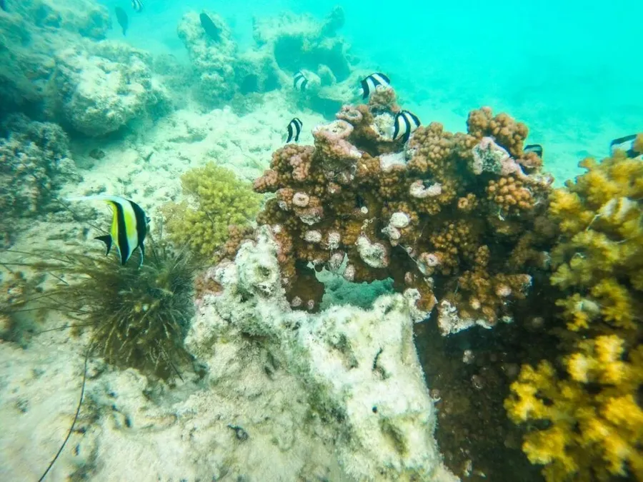 10 Adults-Only Activities on Aitutaki
