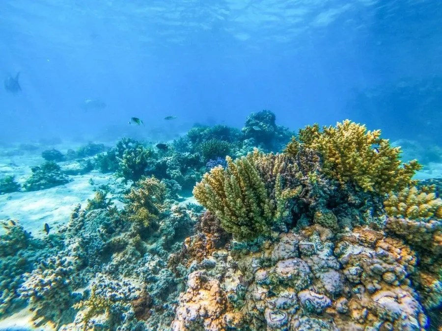 40 Best Things to Do in the Cook Islands with Kids 👪 [2025]