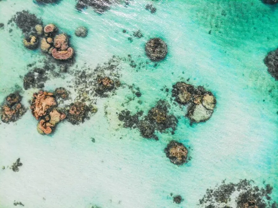 10 Best Adventure Activities in Rarotonga & the Cook Islands ????