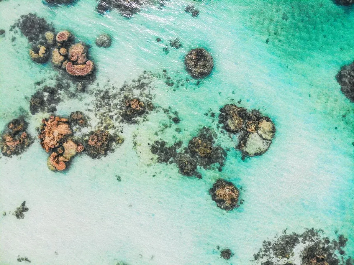 The Top 10 Natural Wonders in Rarotonga & the Cook Islands ????