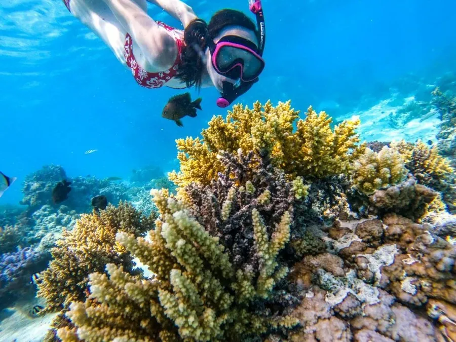 The Complete Travel Guide to Rarotonga on a Budget ????