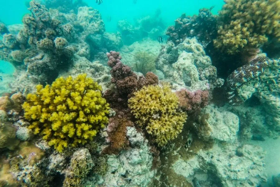 Cook Islands Safety Tips: Is it Safe to Travel to Rarotonga & the Cook Islands?