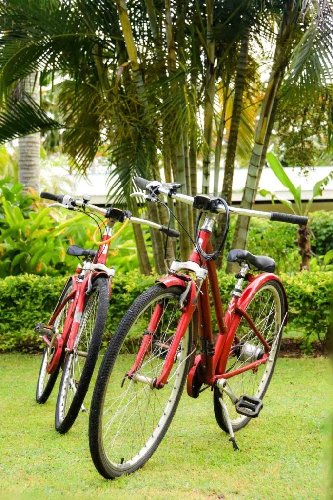 The Ultimate Guide to Mountain Biking in Rarotonga & the Cook Islands