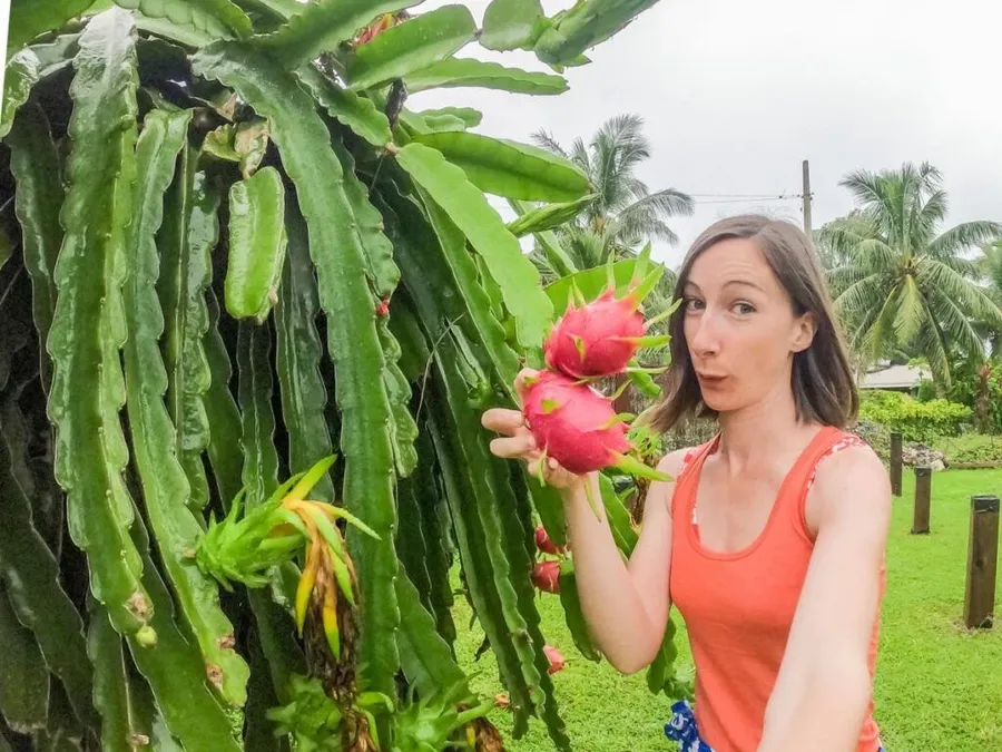 The Complete Travel Guide to Mangaia