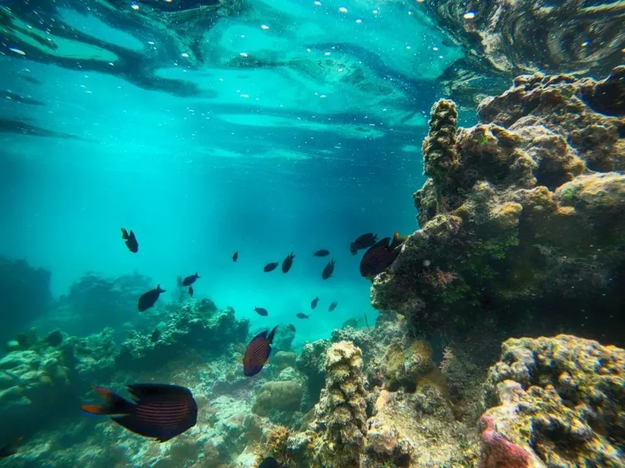 Rarotonga Budget & Backpacking Itinerary: 3 Days ???? [2023]