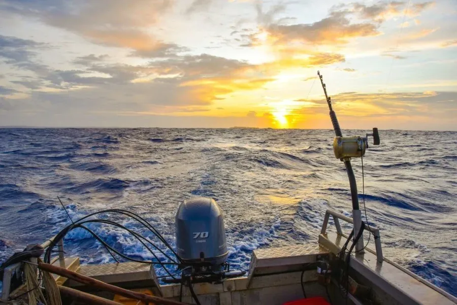 10 Best Tours of Aitutaki ????️ [2023]